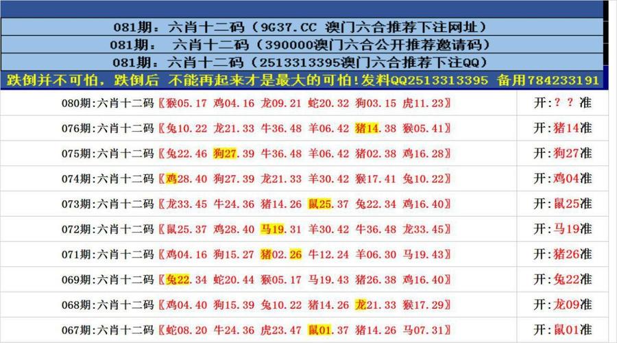 （新澳门六开最新资料查询大全图片）