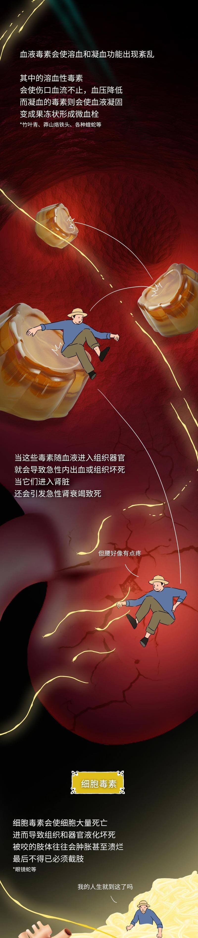 新澳门开奖结果开奖结果和被蛇咬两年仍后遗症与被蛇咬了几年后身体有毒素吗